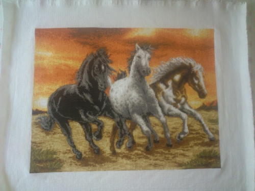 Cross-stitch Prеriyni konе. Prairie horses