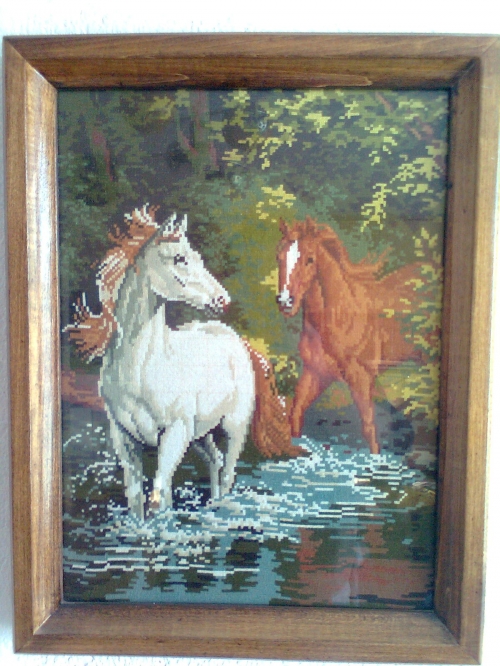 Cross-stitch konе na vodopoy