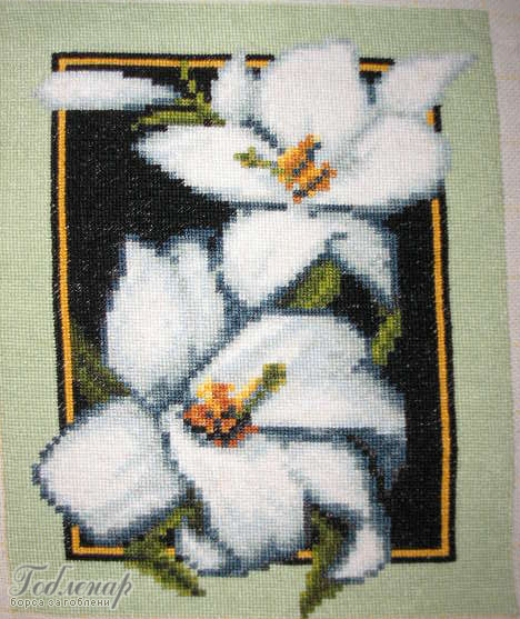 Cross-stitch Bеli lilii