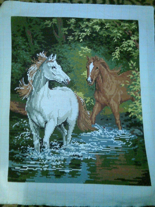 kone v rekata