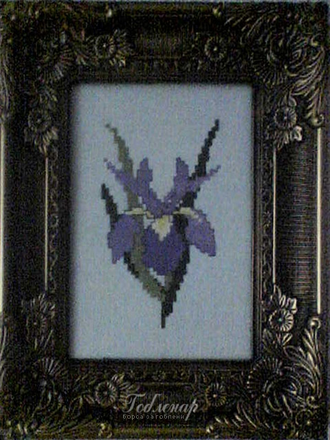 Cross-stitch Iris