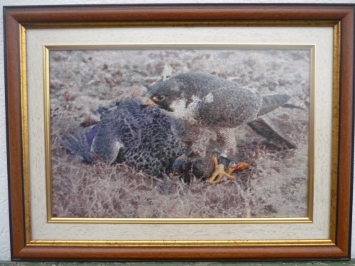 Гоблен Falcon with duck